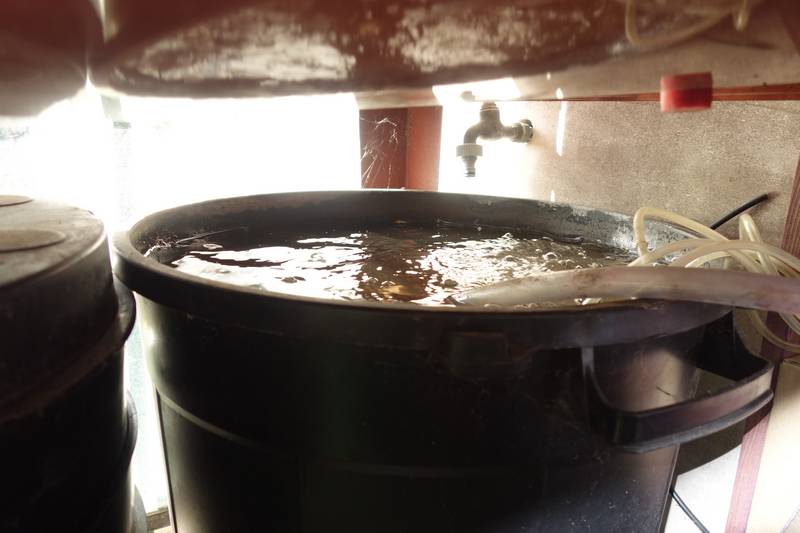 Poubelle contenant le thé de compost bouillonnant. Elle est placée sous la table de culture ce qui est très pratique (aucun espace gaspillé). Pour transférer l'eau de la poubelle à l'arrosoir j'utilise un système de siphon (tuyau  transparent plongeant dans le thé de compost).
