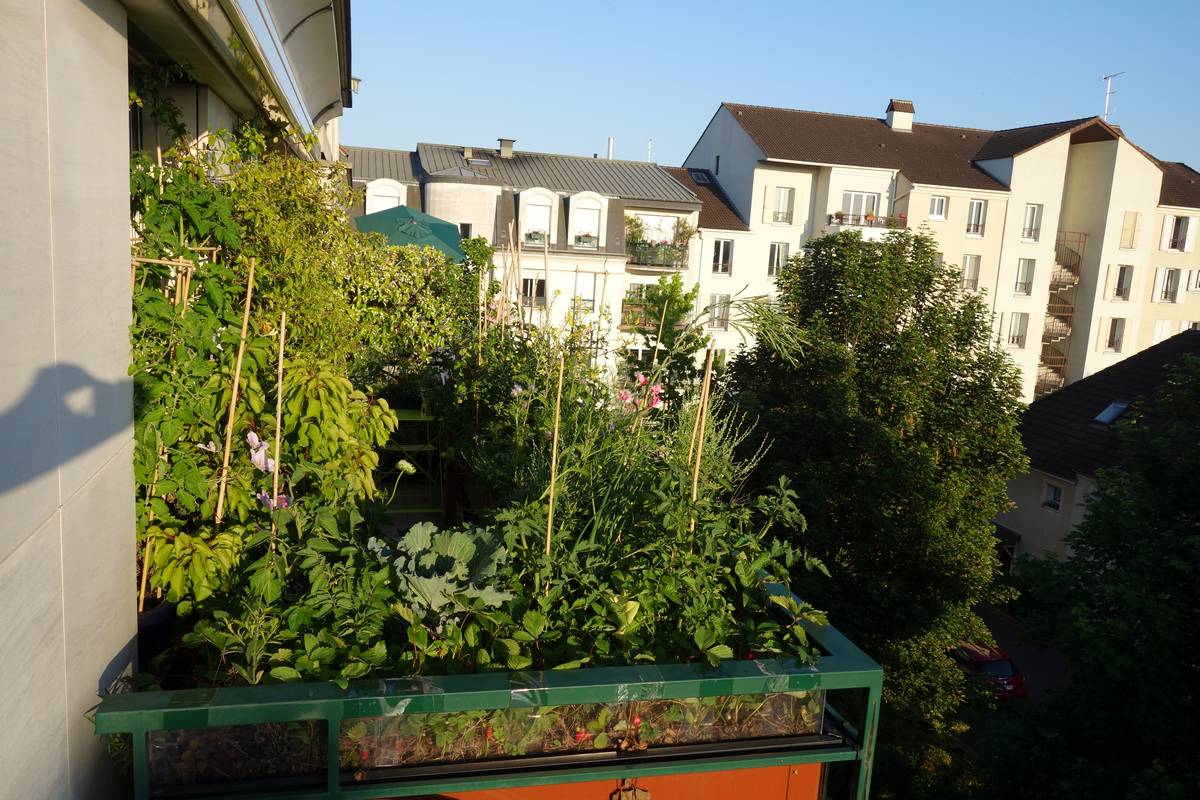 Ecrin_de_verdure