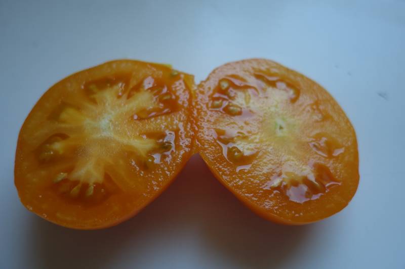 Tomate caro-rich (riche en bêta carotène) coupée en deux, elle est aussi belle que bonne !