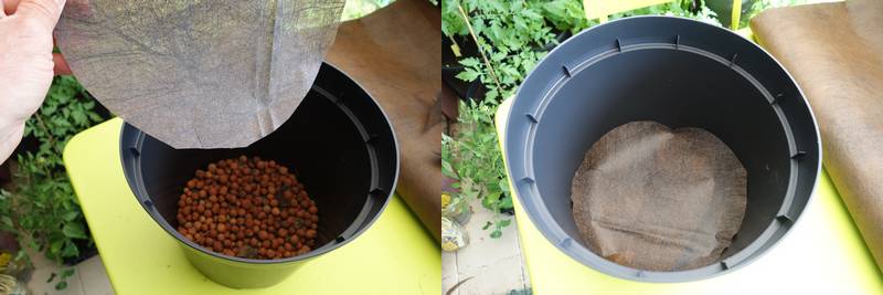 DébuterUn potager bio sur mon balcon