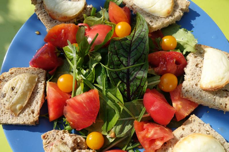 En plus des légumes précédents j'ai rajouté une tomate evergreen (qui est bien rouge !) et des tomates gold nugget