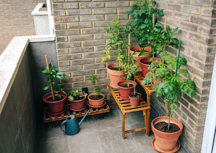 Que planter selon l'exposition de votre balcon