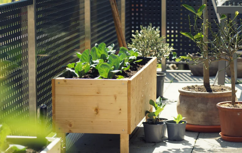 Quelle matière pour un carré potager de balcon