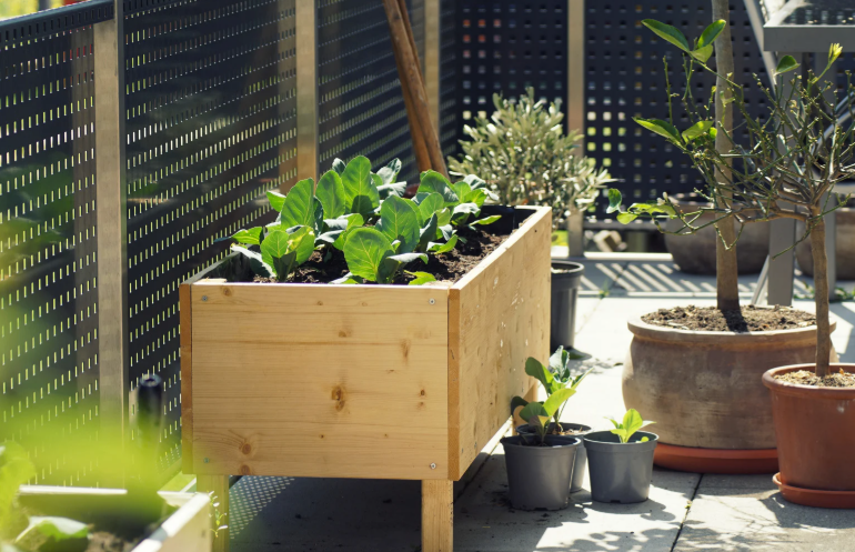 Comment faire un potager sur son balcon