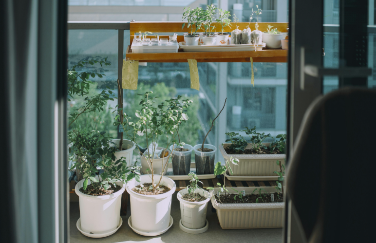 Comment faire un potager sur son balcon